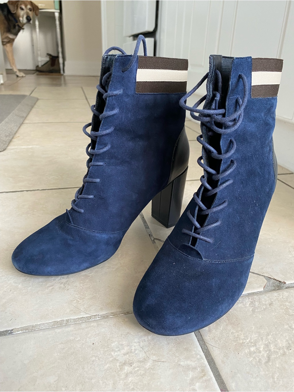 Anthropologie Navy Suede Lace-Up Ankle Boots With Brown And Cream Stripe